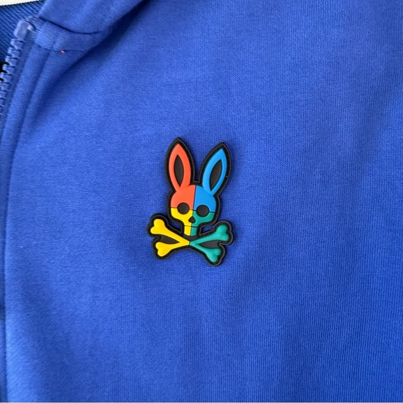 Psycho Bunny Warwick color block logo hoodie - Picture 2 of 11